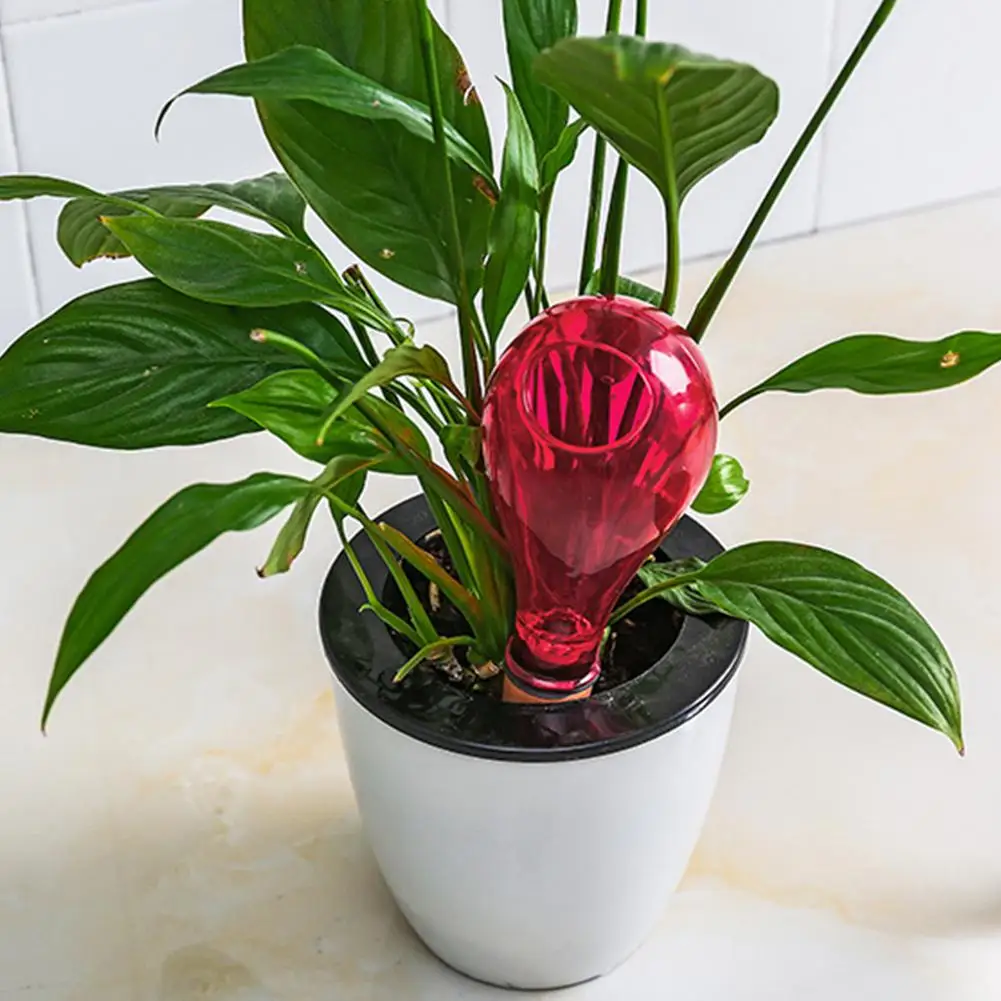 Automatic Watering Device Houseplant Plant Pot Bulb Globe Automatic Watering Device Houseplant Plant Pot Bulb Globe