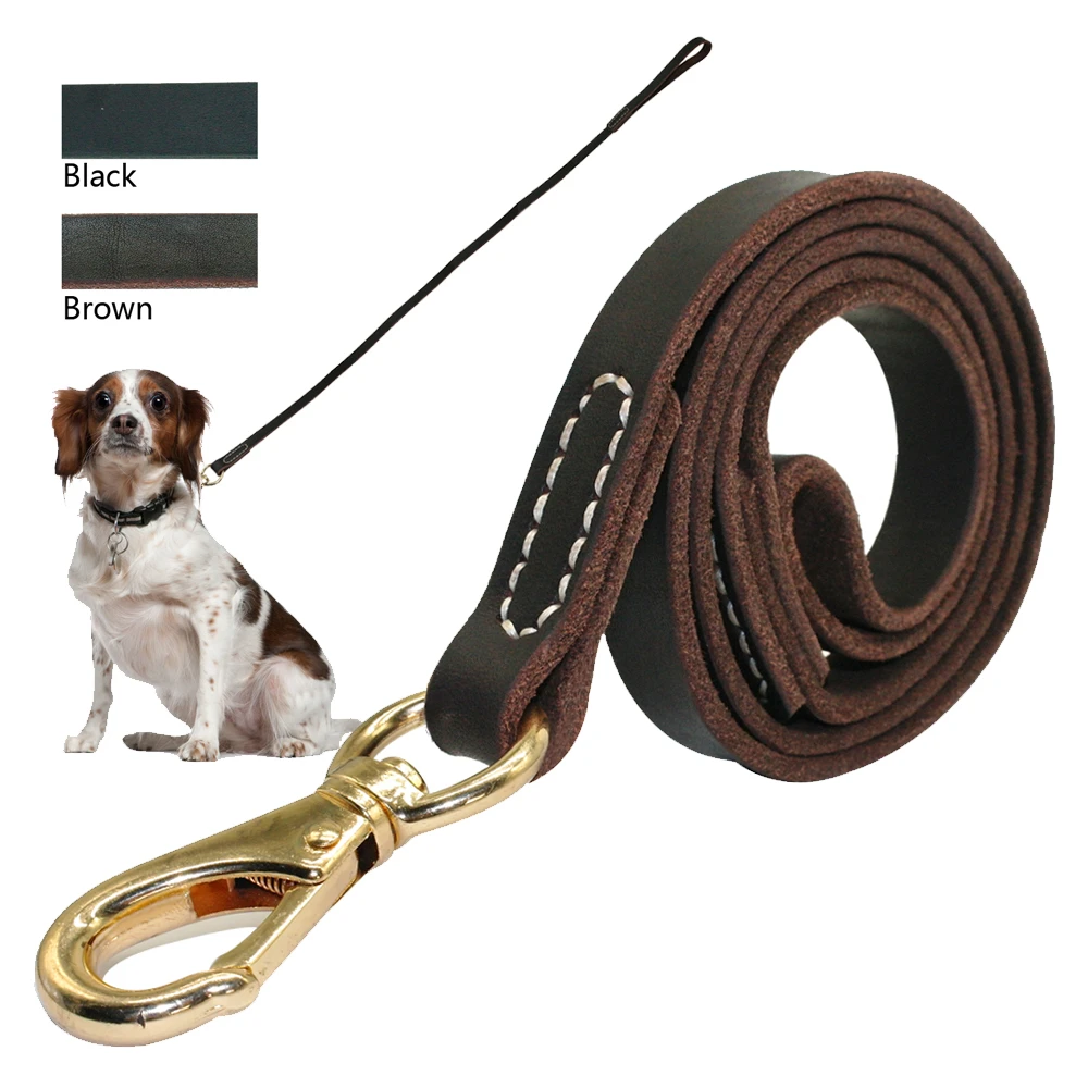 Best training leashes Clearance