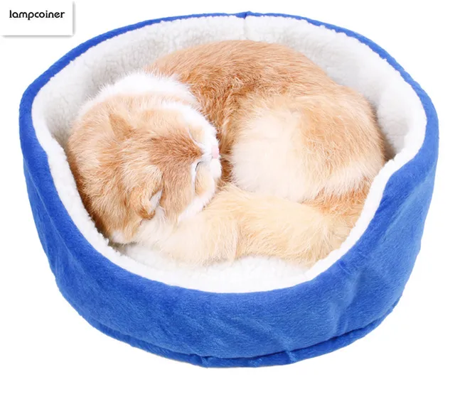 Offerta speciale comfort casa dell'animale domestico, base del gatto morbido pic Offerta speciale comfort casa dell'animale domestico, base del gatto morbido pic