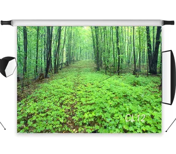 

LB Polyester & Vinyl Forest After The Rain Dwarf Shrub Leaves Studio Backdrop Photography Photo Props Photographic Background