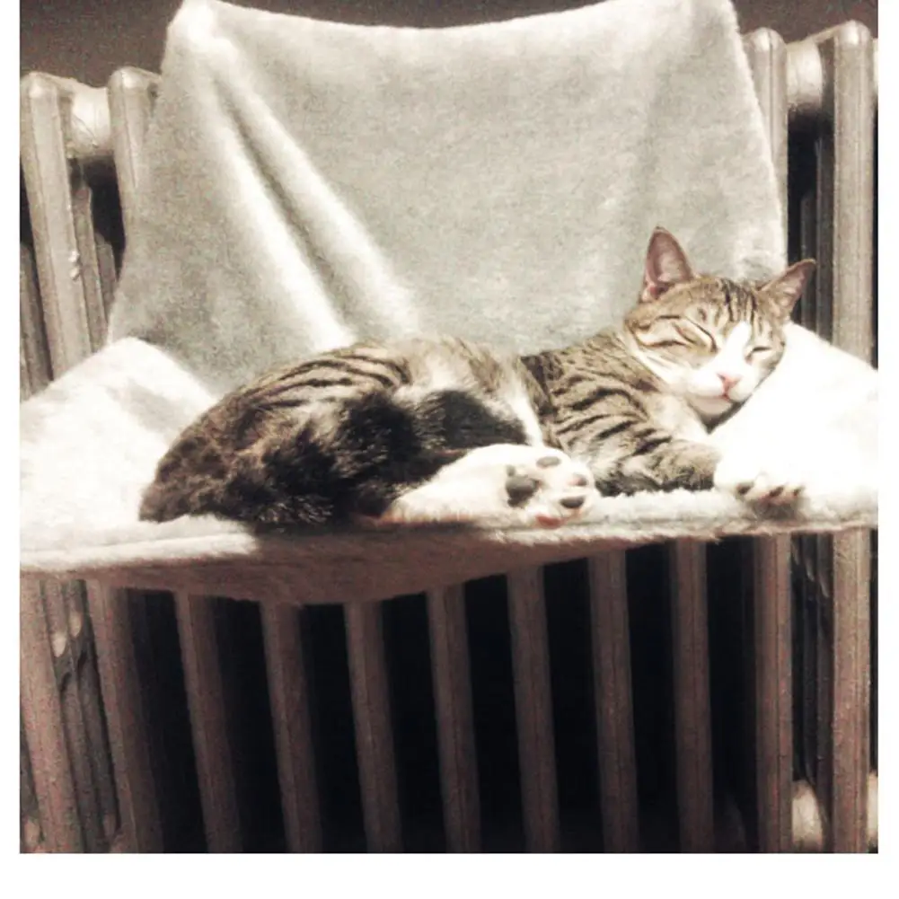 High-grade Solid Ultra-portable Steel Frame Structure Removable Window Sill Cat Radiator Bed Winter Hammock Pet Kitten Cage