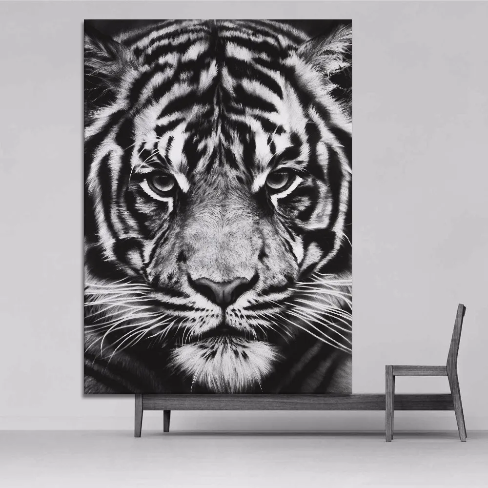 Online kaufen groÃhandel schwarz tigers bilder aus china schwarz ...