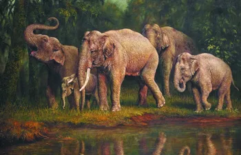 

wholesale oil painting # GOOD ART-HOME office club animal Elephant PAINTING TOP Decorative art PAINTING on canvs