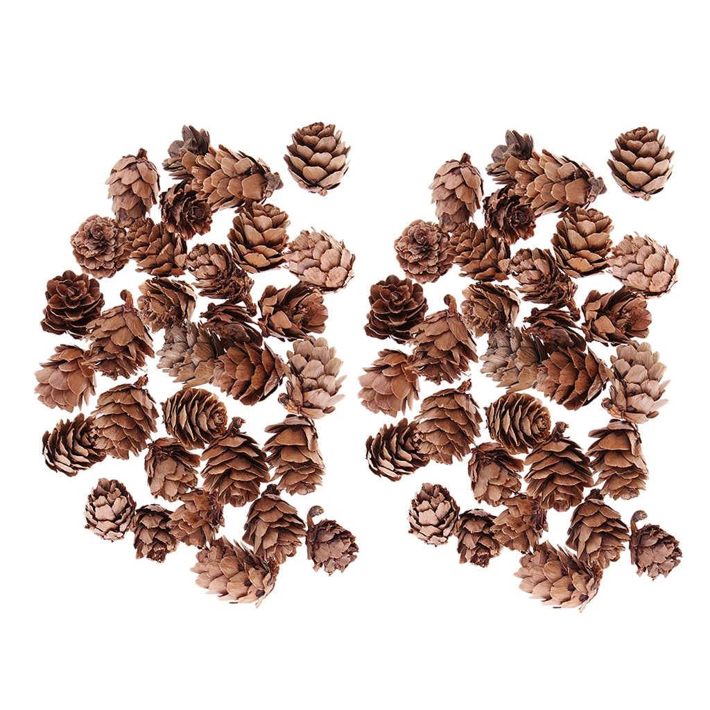 60pcs Natural Pine Cones Decorative Pinecone for Christmas Ornament DIY Crafts Supplies Home Party Hanging Decoration