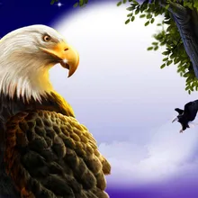 Орел DIY живопись по номерам 24 Цвета Пигмент кисть Искусство Ручная роспись креативная цифровая картина маслом