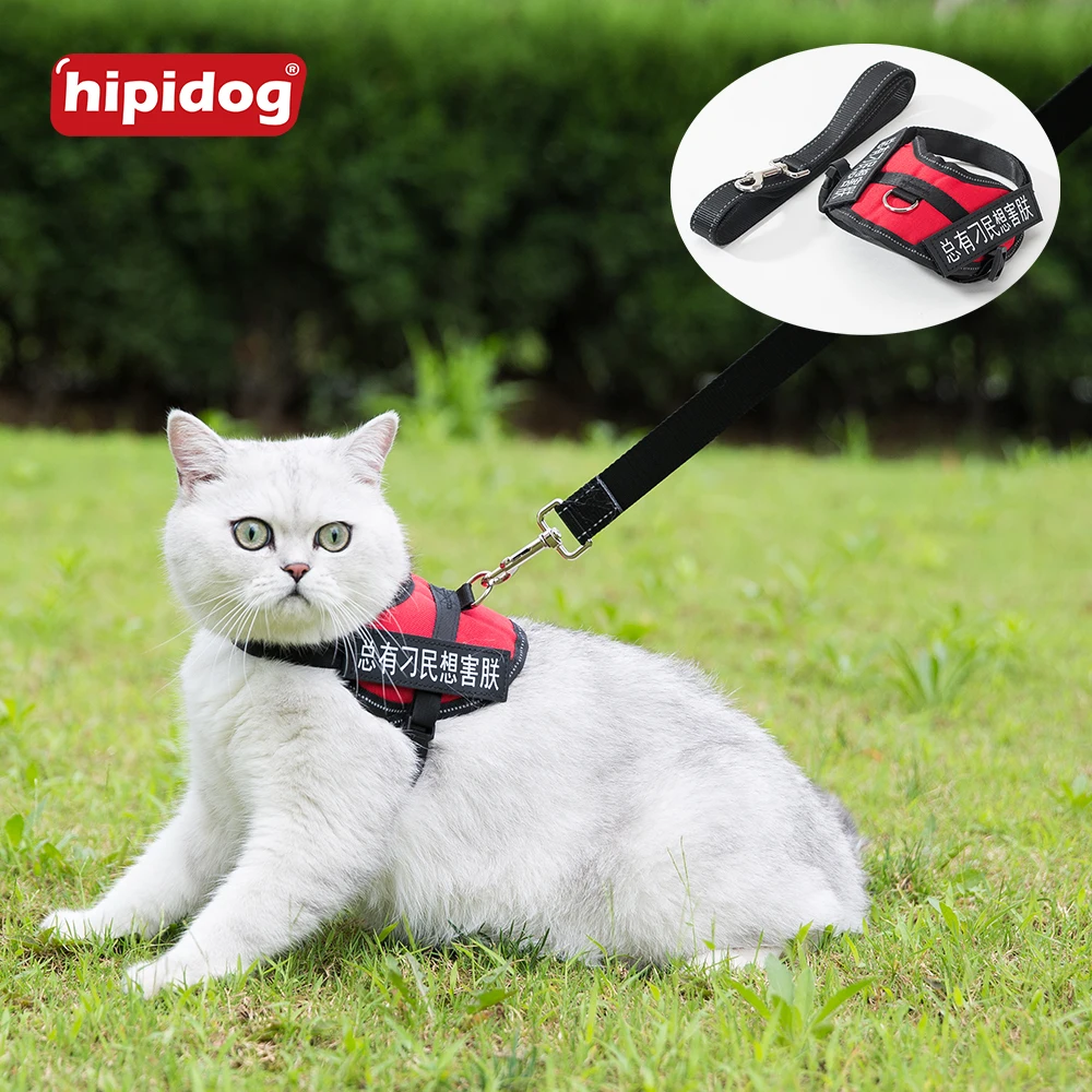 

Hipidog Customized Cat Vest Harness with Leash Lead Set Personalized Tip Kitten Vest Chest Strap Pet Supply
