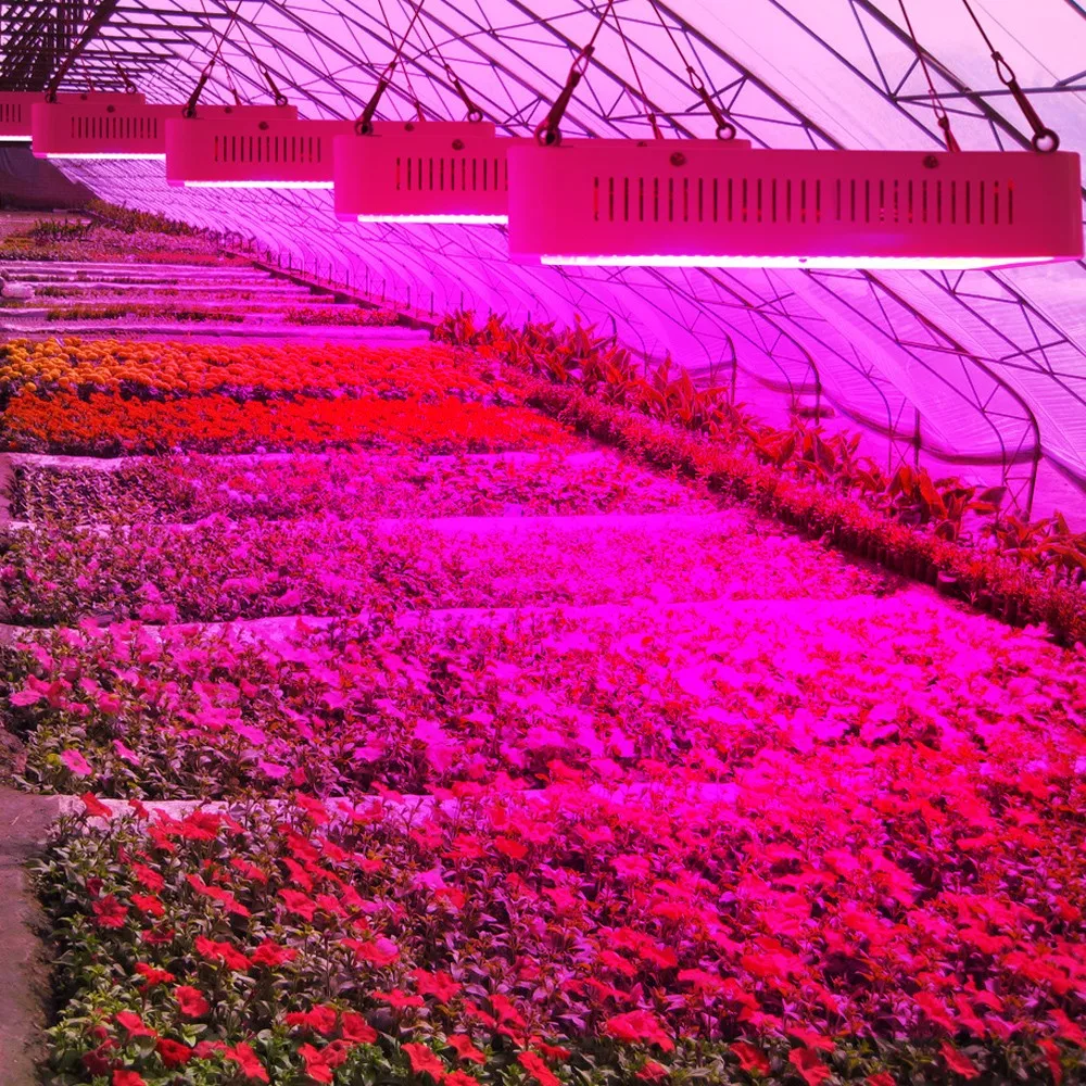 1600 Вт светодио дный светать полный спектр комнатное растение лампы роста для цветы овощи Гидропоника Grow Tent парниковых завод огни