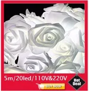 Árvore de Natal de Fadas Luzes da Corda ao ar Lote Nova 5 m 300leds Led Heart-shaped Pendente Lâmpada Guirlanda Livre Luzes ac 220 v 110 20 Pçs - 18 de natal de fadas luzes da corda