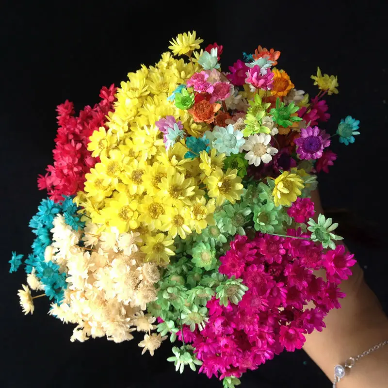 Buy 120pcs/lot mixed color cute daisy Natural dried flower fit glass vials