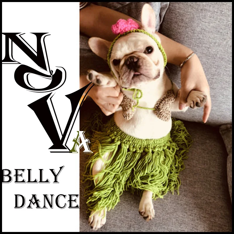 Hawaiian Style Hula Hula Skirt Puppy Dog Wacky Costumes Funny Pet Cats