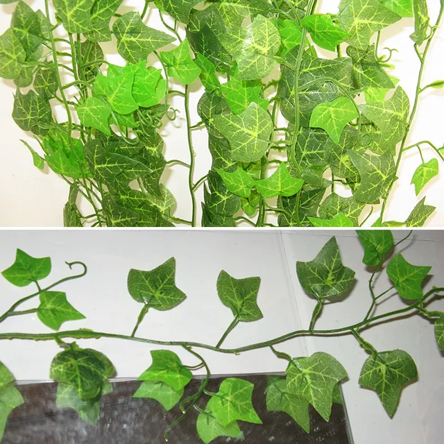 2 4 m sztuczny bluszcz zielony liść Garland rośliny Vine fake liści kwiaty Home Decor plastikowe sztuczne kwiat rattan String tanie i dobre opinie Sztuczne kwiaty Hybrydowy z mocniej Strona Łańcuch kwiatów Kawałek 0 05 kg (0 11 funta) 10 cm x 15cm x 10 cm (3 94 cala x 5 91 cala x 3 94 cala) 2 4 m sztuczny bluszcz zielony liść Garland rośliny Vine fake liści kwiaty Home Decor plastikowe sztuczne kwiat rattan String tanie i dobre opinie Sztuczne kwiaty Hybrydowy z mocniej Strona Łańcuch kwiatów Kawałek 0 05 kg (0 11 funta) 10 cm x 15cm x 10 cm (3 94 cala x 5 91 cala x 3 94 cala)