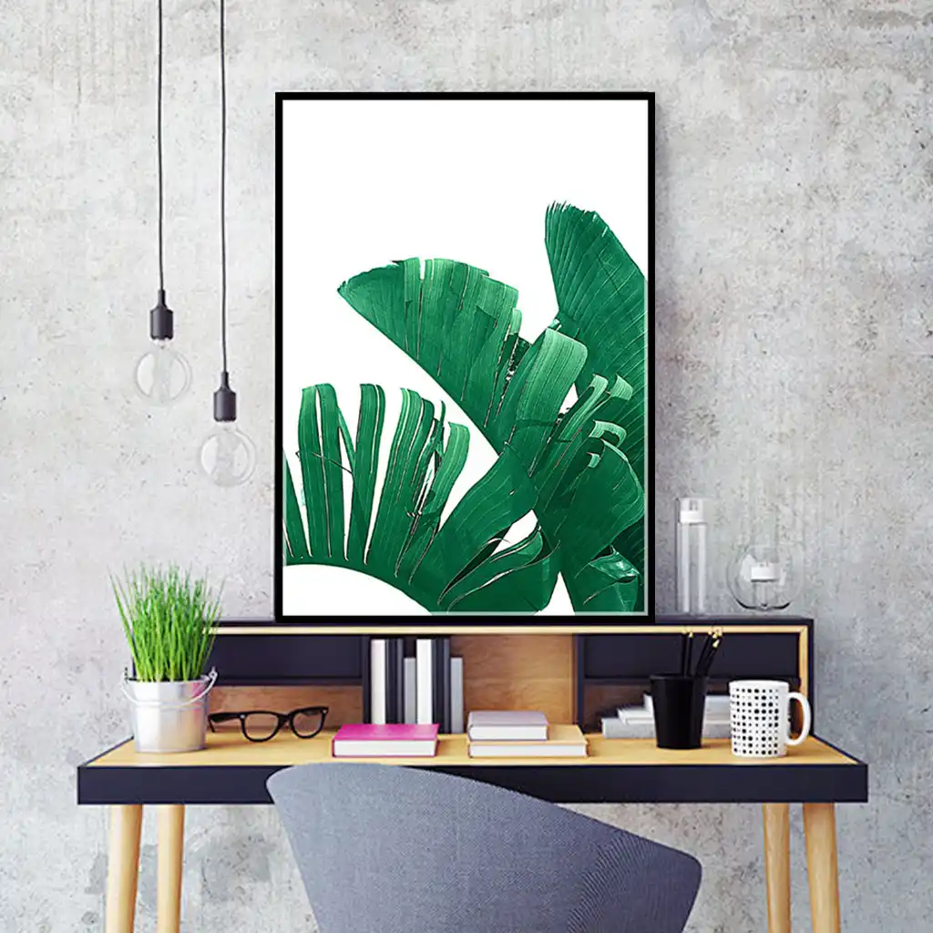 Planta Hojas Tortuga Hojas Hogar Decoracion Pinturas Murales