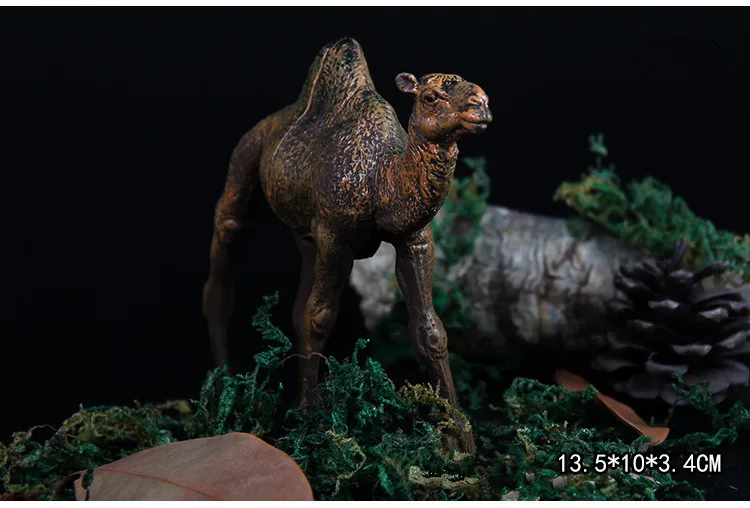 4316260722_893026222 - 