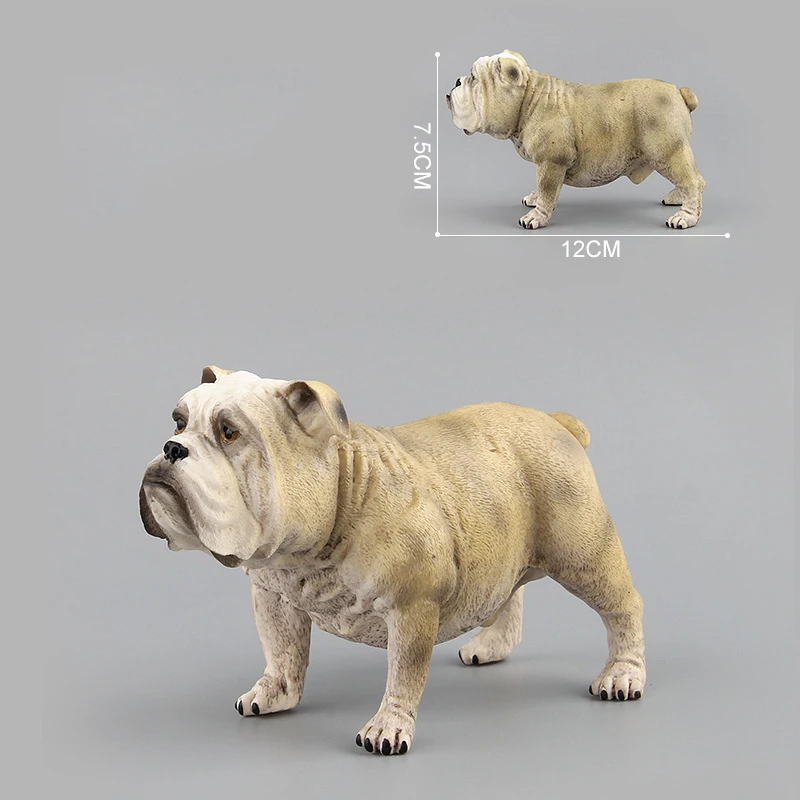 Новая модель пластиковые животные собака Шарпей бульдог фигурка образование биология реквизит украшение взрослые детские игрушки Biologia - Цвет: Simulation Dog