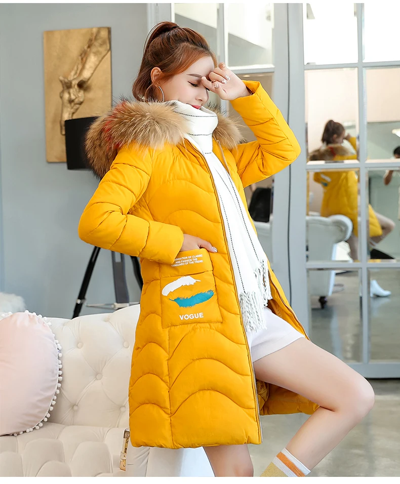 Women Winter Long Jacket Fake Fur Collar Hooded Parka Padded Coat Women 2018 Korean Thick Warm Slim Coats Jackets Female CH695 (8)