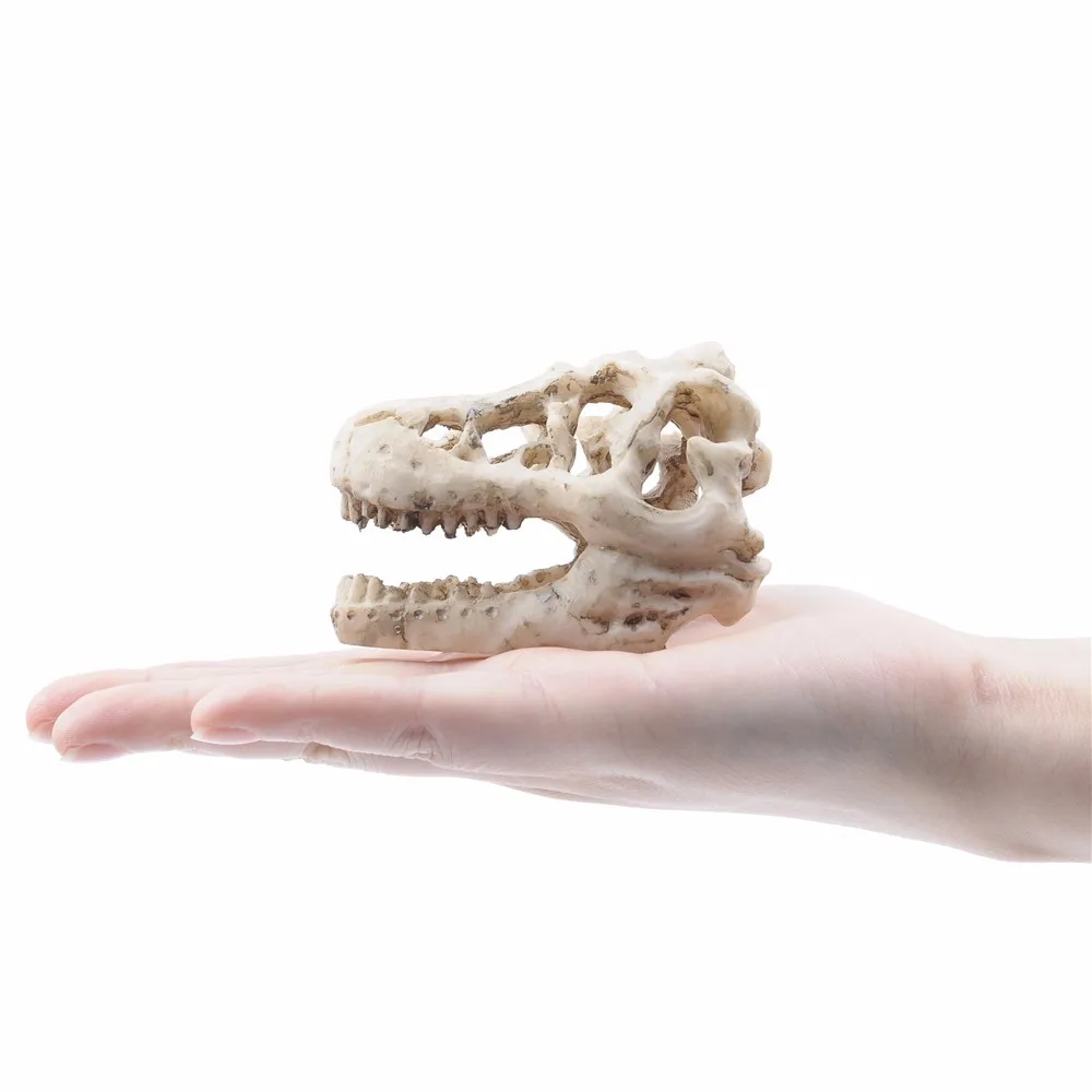 Аквариум полые смолы череп динозавра смолы аквариума украшения пейзаж головка моделирования кости рептилий украшения аксессуары для домашних животных