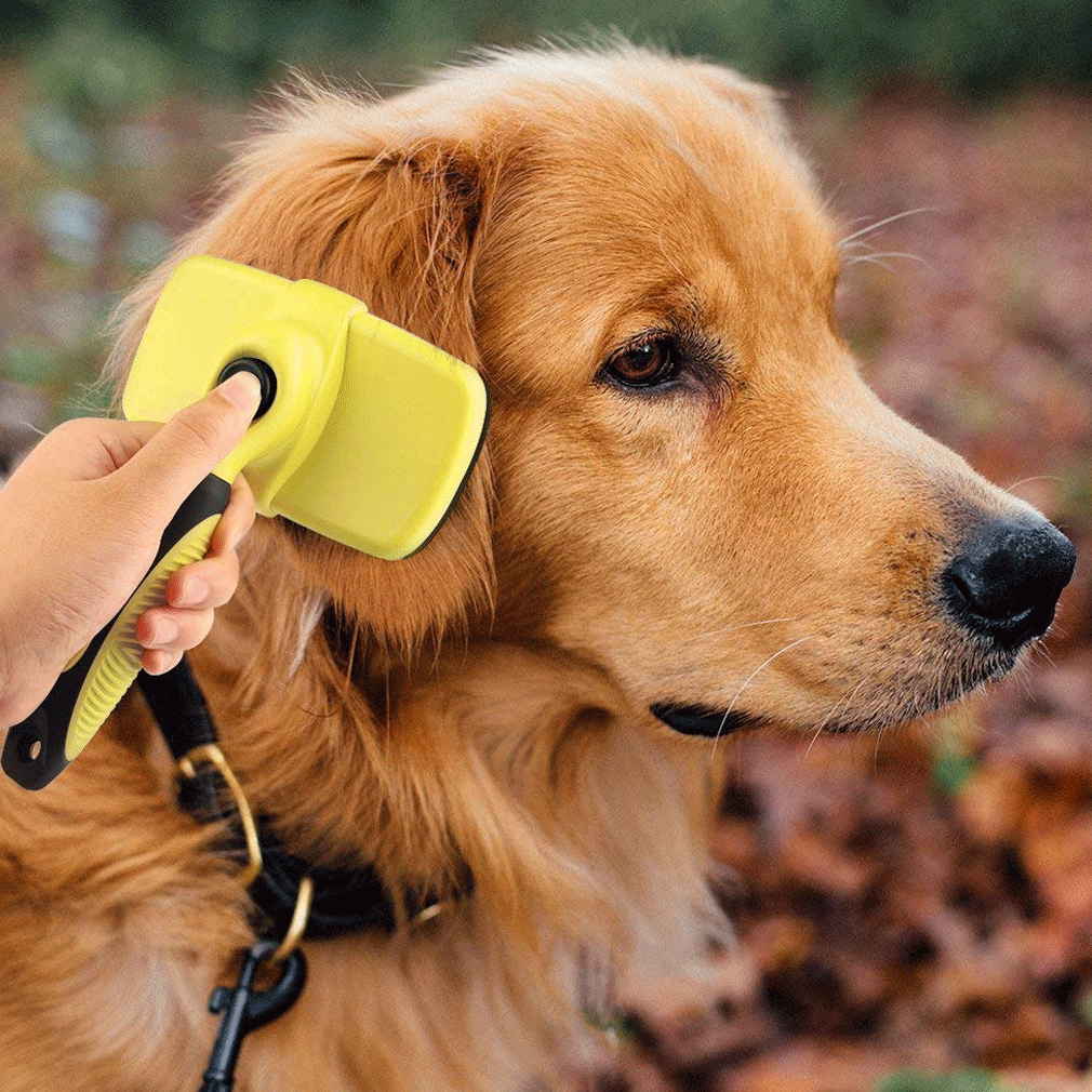 Dog Cat Hair Brush Grooming Automatic Hair Comb For Shedding Rake Trimming Tool Fur Removal Pet Accessories