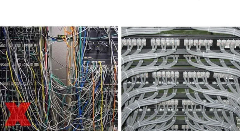 4241773973_1820376286