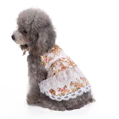 Милая летняя одежда для собак юбка для собак кружевное удобное милое платье для кошек вечерние платья для домашних животных с различными рисунками 910A - Цвет: XZ38