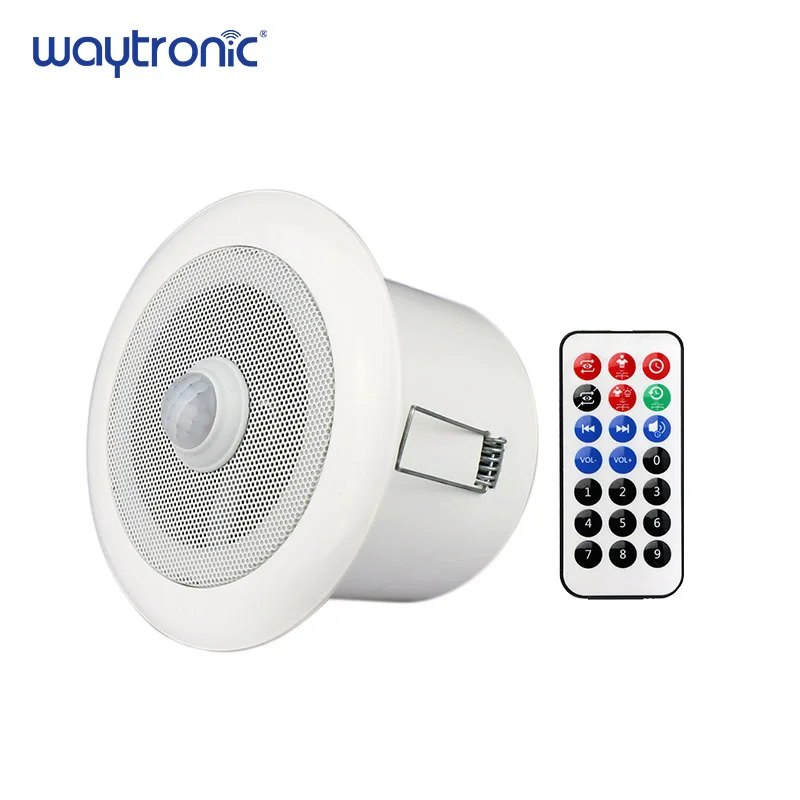 Ceiling Mount PIR Motion Sensor Activated Mini MP3 Audio ...