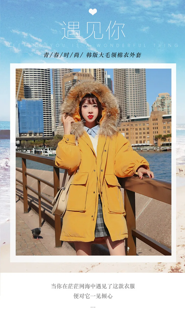 8819Cotton_01.jpg