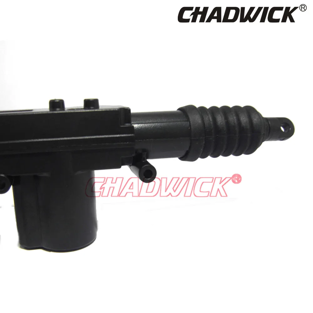 2px2  chadwick 3