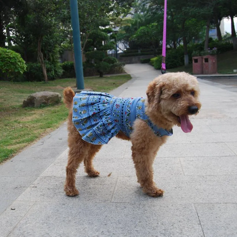 https://ae01.alicdn.com/kf/HTB1JTgHkBDH8KJjSspnq6zNAVXaN/Clothes-for-Dogs-Blue-Pet-Print-Teddy-Cute-Puppy-Dog-Clothes-Dress-Honden-Kleding-Dogs-Pets.jpg