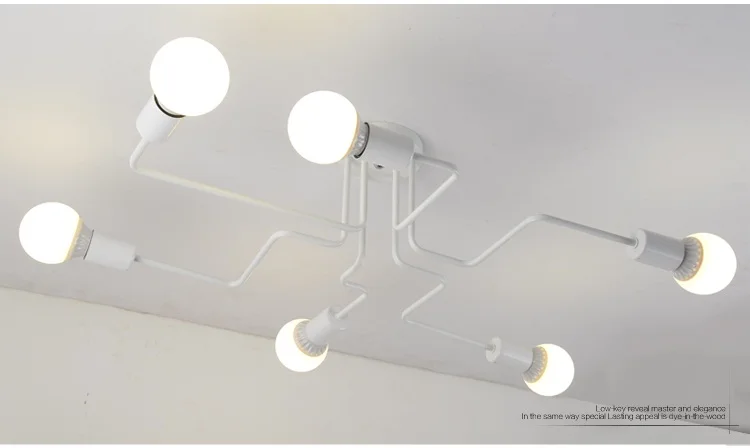 modern ceiling lamp (16)