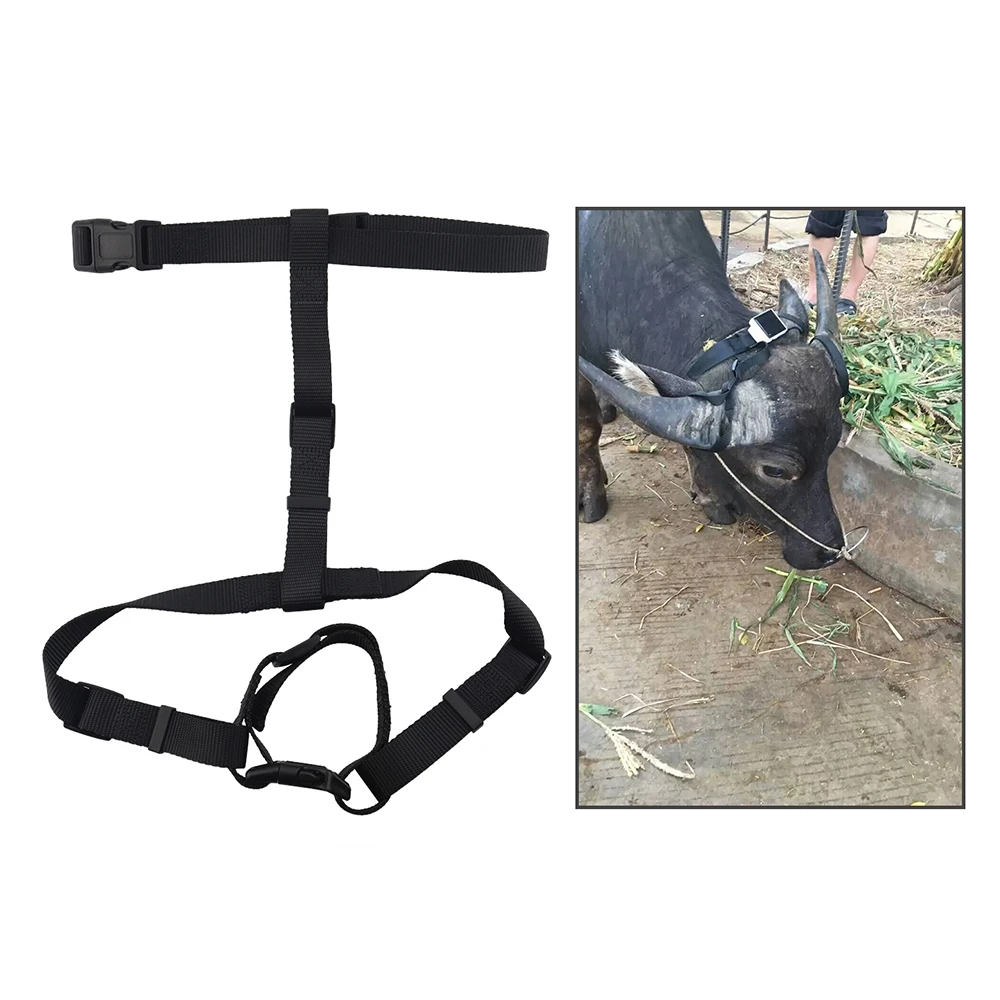 4000mAh Solar WIFI Cattle Cow Sheep Horse Camel Tracking Device GPS Tracker Locator RF-V26 Plus RF-V26+ Waterproof Free Platform track a cell phone location for free