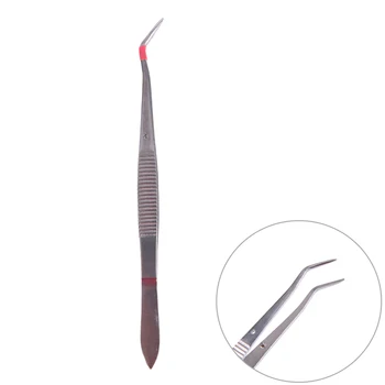 

New Professional Silver Dental Plier Stainless Steel Dental Tweezer Forcep Teeth Clean Tools Dentistry Instrument Hygiene Sale