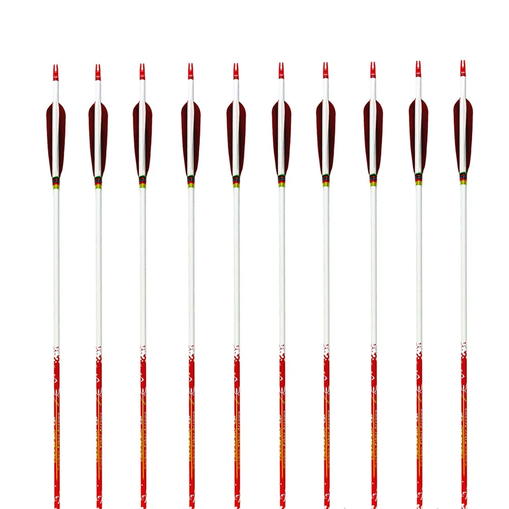 

6 Pack Archery Carbon Arrows for Compound Recurve Bow 400/500/600 Spine 28/29/30 Inch Arrow Shaft with Real Feathers Fletched