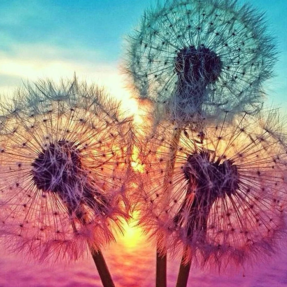 DIY Diamond Embroidery Dandelion Full Square/round Painting Cross Stitch Kit Rhinestones Mosaic Home Decor | Дом и сад