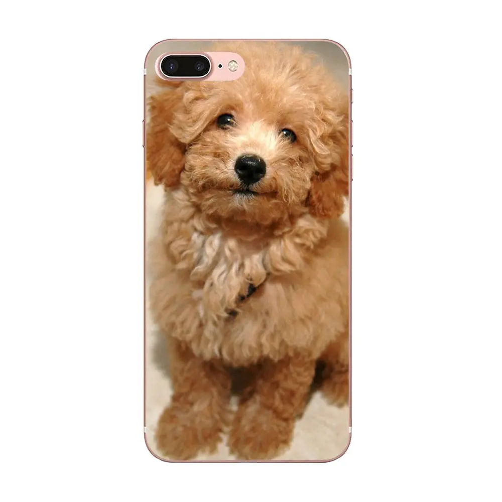 TPU художественный принт для Galaxy J1 J2 J3 J330 J4 J5 J6 J7 J730 J8 2015 2016 2017 2018 mini Pro Игрушка Пудель