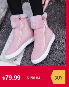 dianxiaobao