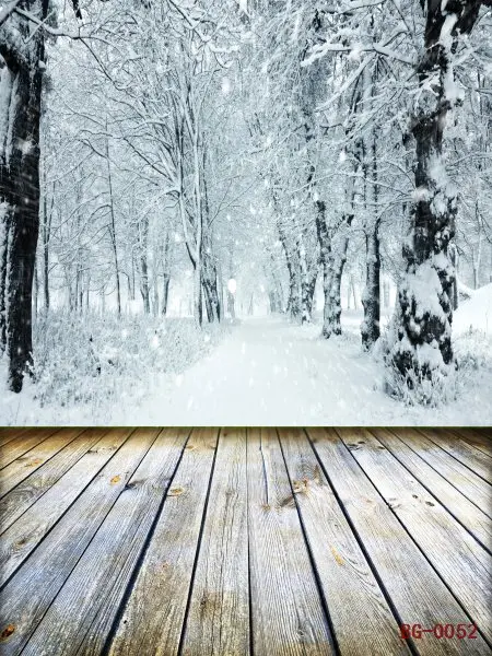 polyester big photography backdrop background classic fashion wood