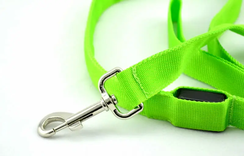 G10_120cm_Nylon_Pet_LED_Dog_Leash_Night_Safety_LED_Flashing_Glow_LED_Pet_Cat_Dogs_Drawing_Small_Leads_for_LED_Dog_Collar_ (7)