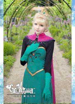 

2014 Costume Adult Elsa Cosplay Elsa the Snow Queen Coronation Outfit Halloween Costume for Women Fantasy Dress free crown