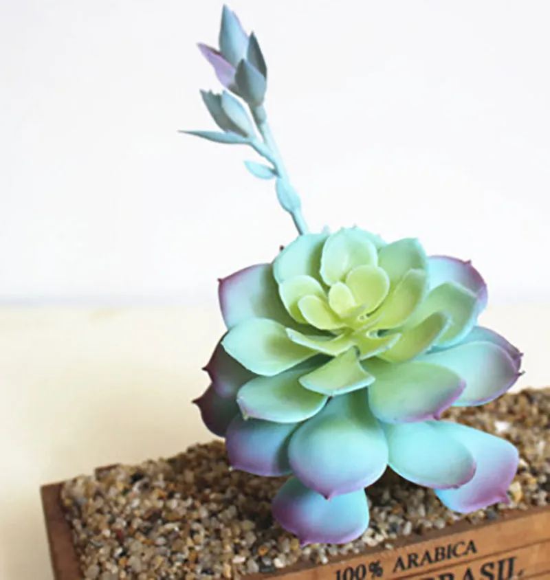 Artificial Succulent Plants Home Decoration Green Blue Plastic Faux Cactus Succulents Simulation Fake Plant Office Decoration - Цвет: zhongshilian blue