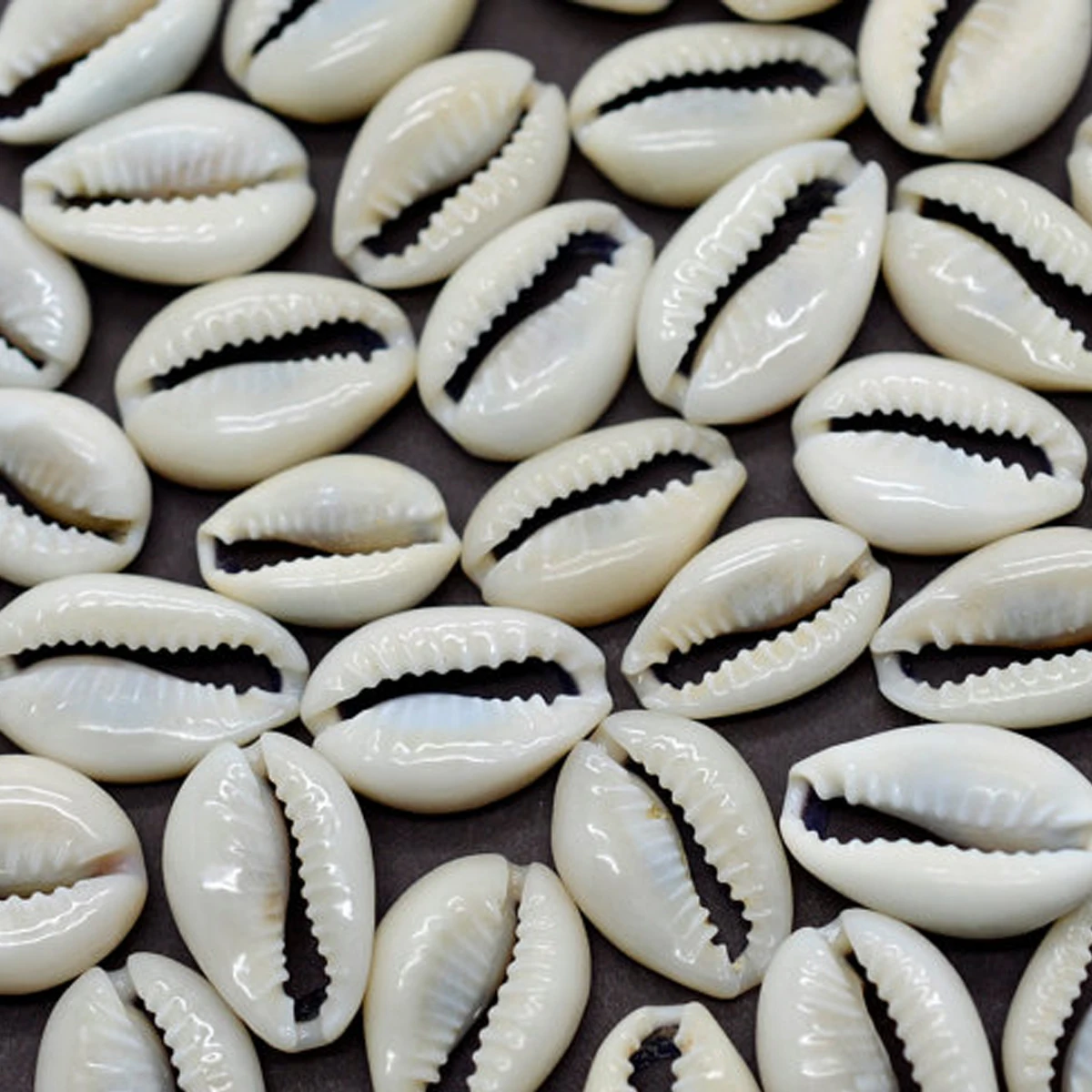 50Pcs White DIY Sea Shell Cowrie Cowry Charm Beads Beach Jewelry ...