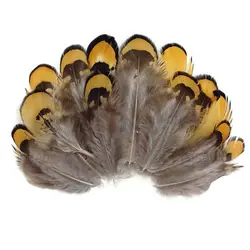 100 шт. Золотой фазан накидка с капюшоном перья