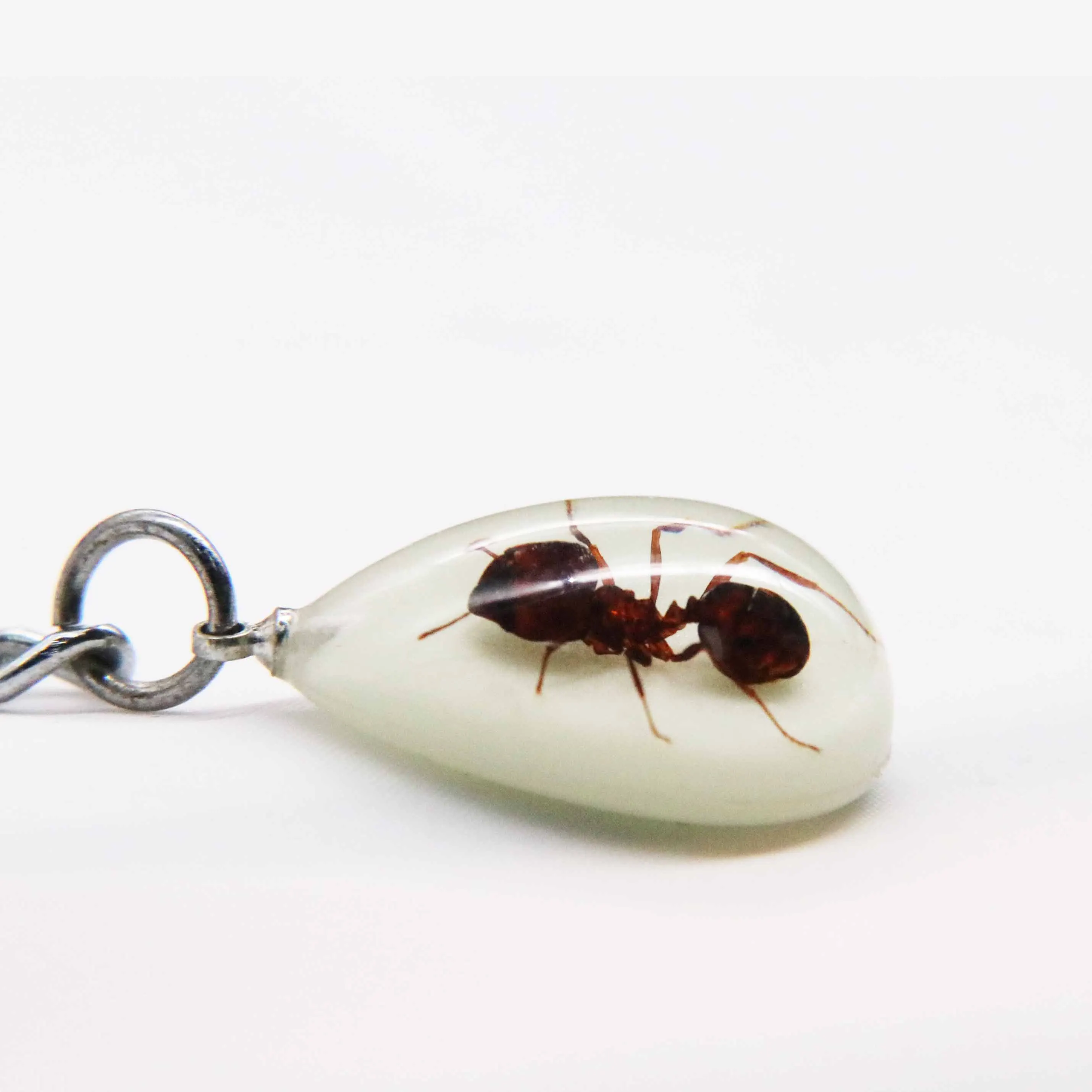 Real glow in the dark insect ant drop shape art jewelry key rings