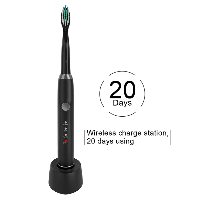 2 pcs Electric toothbrush Sarmocare M100 IPX7 Waterproof Grade rechargeable battery travel protable toothbrush sonic toothbrush 2 pcs Electric toothbrush Sarmocare M100 IPX7 Waterproof Grade rechargeable battery travel protable toothbrush sonic toothbrush