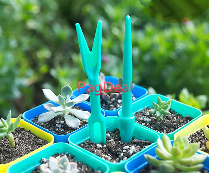 Transplant seedlings Tools04