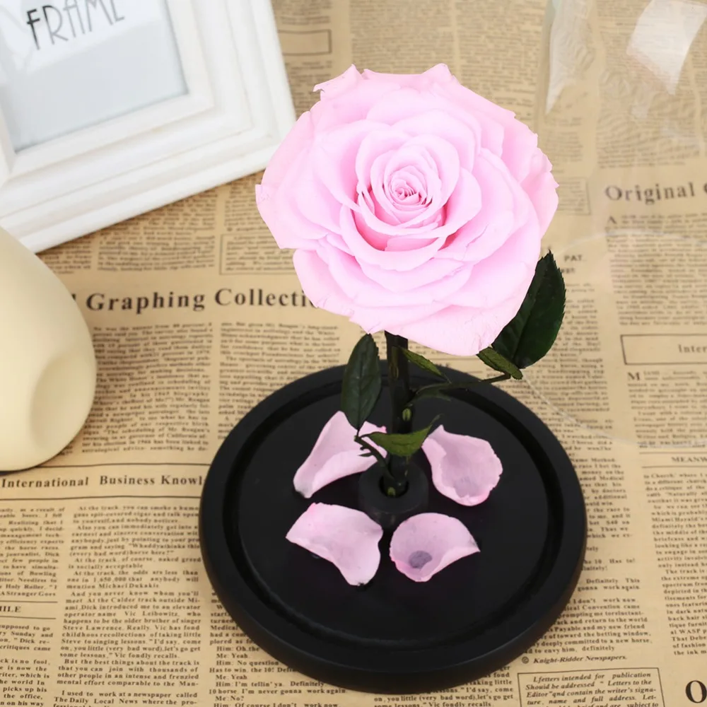 431254_9c6dc594ce8d4645b3a350b95cc18f29