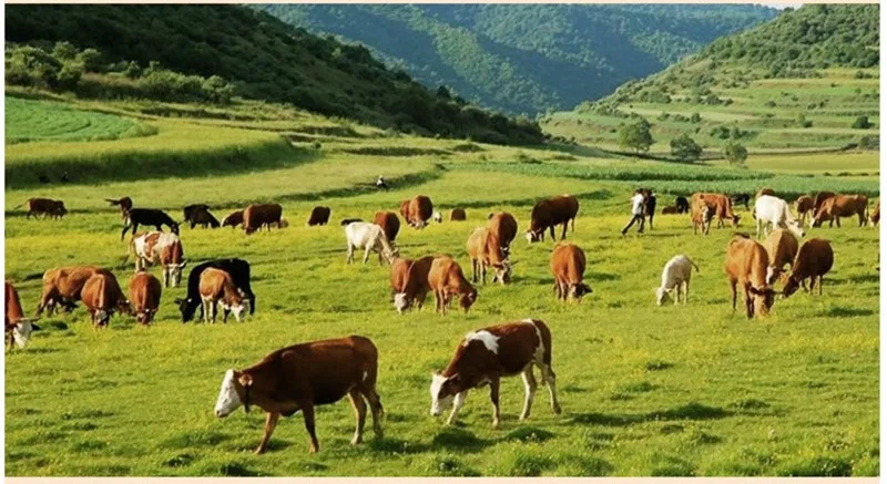 TB28rsAiVXXXXX9XXXXXXXXXXXX_!!2451850508