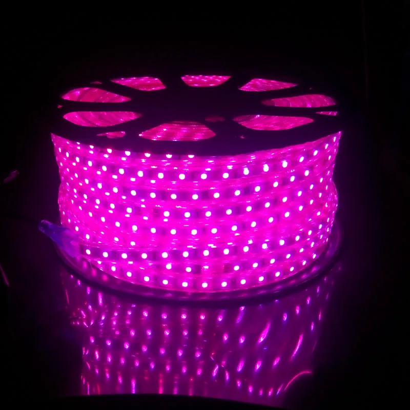  220 Volt LED Strip Lighting RGB Flexible Ruban 5050 60 leds/m with 20 Keys Remote Control Outdoor W - 32868402017