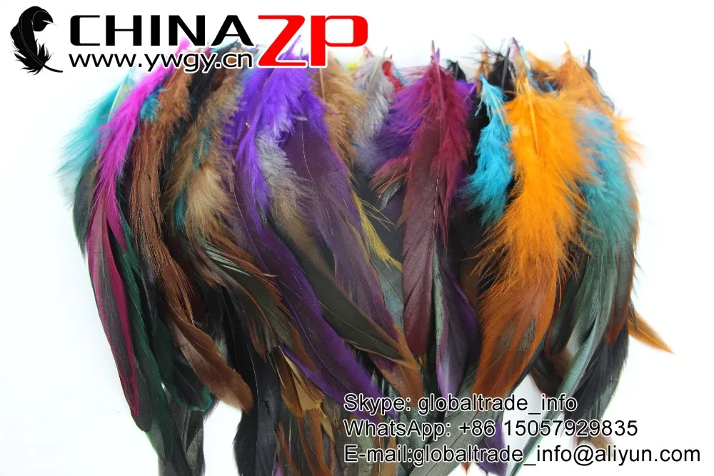 rooster coque feathers (73)