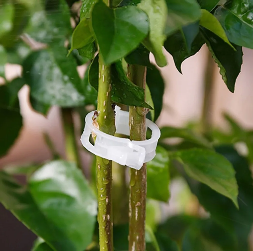 50 шт. прочные 30 мм пластиковые зажимы для поддержки растений для типы растений Висячие лоза садовые теплицы овощи садовый орнамент L4