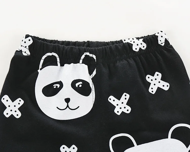 2831916911_2068599042