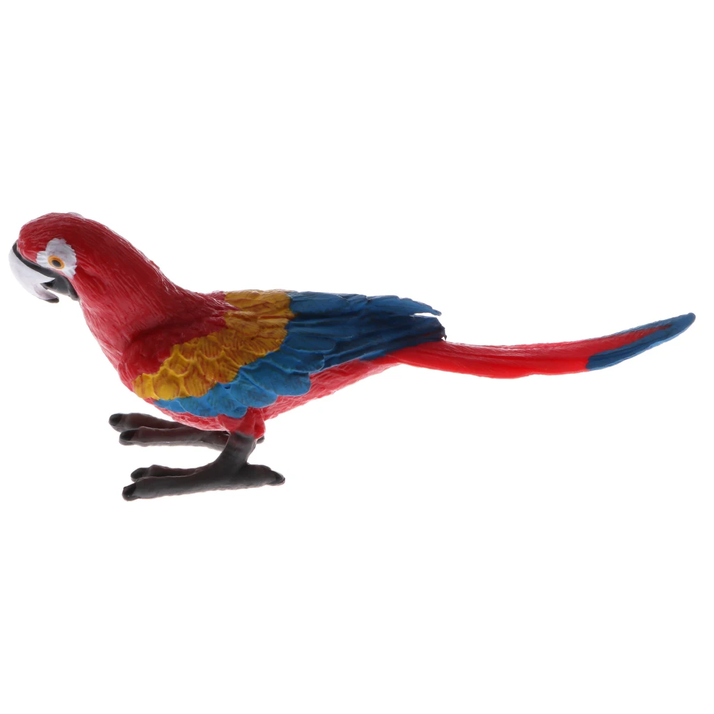 Plastic Realistic Wildlife Jungle Forest Animals Parrot Action Figure Toys Playset, Eduactional Toys For Kids Collectibles